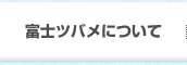 富士ツバメについて